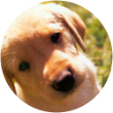 Madzia F. profile picture